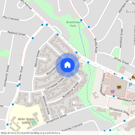 13 Corriedale Street, Miller