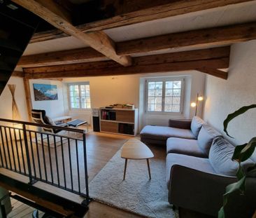 Neugut 3 Zimmer Loft Wohnung - Photo 2