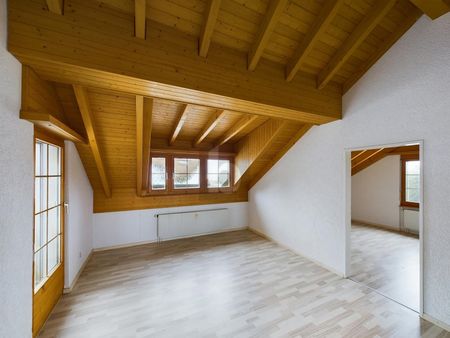 STUNNING VIEW OF THE APPENZELLER LAND - Foto 5