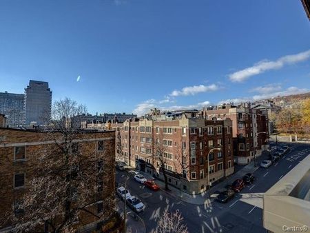 Appartement à louer - Montréal (Ville-Marie) (Centre Ouest) - Photo 4