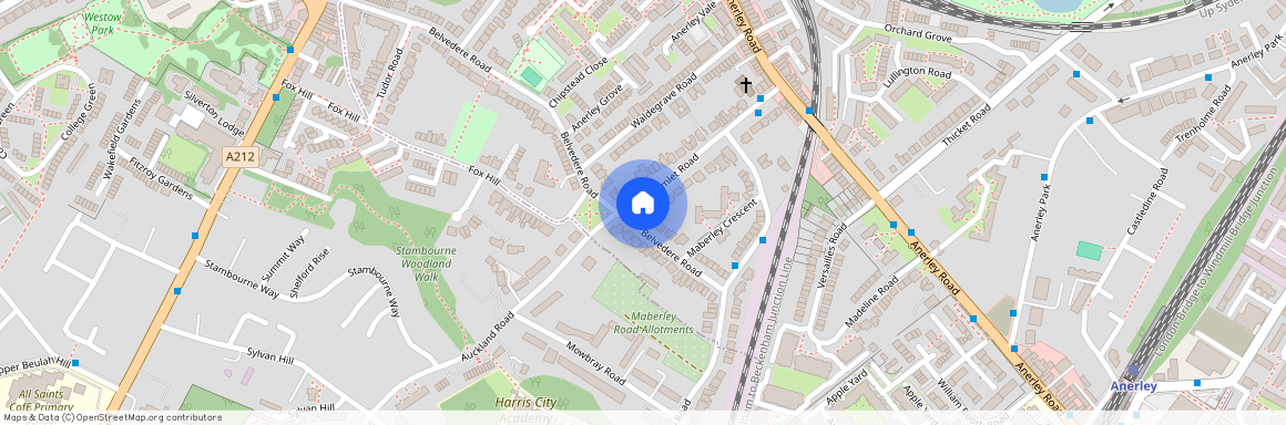 25 Hamlet Road, London, SE19