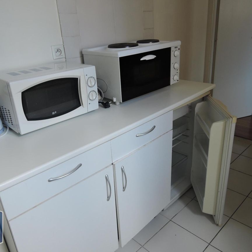 Location Appartement 1 pièce 23m² GRENOBLE 38000 - Photo 2