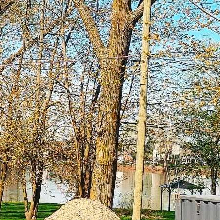 Maison TOUT COMPRIS vue sur le Richelieu/ TRANQUILLE + Très Grand 2260 PC LIBRE DECEMBRE a St Mathias ( près de Chambly et St Hilaire ) A VOIR - Photo 1