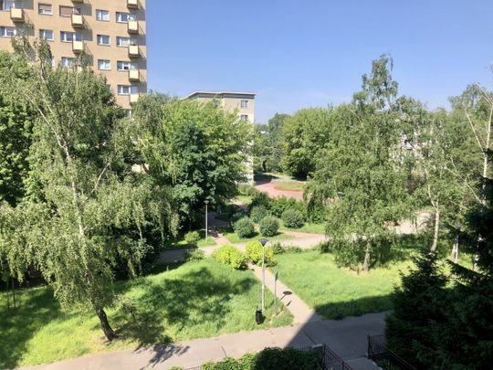 KAWALERKA W BARDZO DOBREJ LOKALIZACJI - Zdjęcie 1