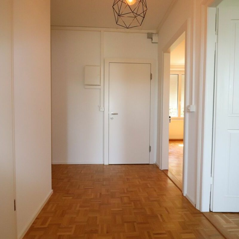 Birsfelden / Nähe Rhein - schöne 2-Zimmerwohnung im 2.OG - Photo 1