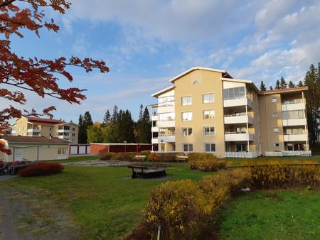 Skogsbruksvägen 123 - Photo 2