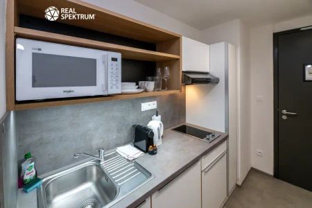 Pronájem moderního bytu 1+kk s balkonem u Vaňkovky - Photo 5