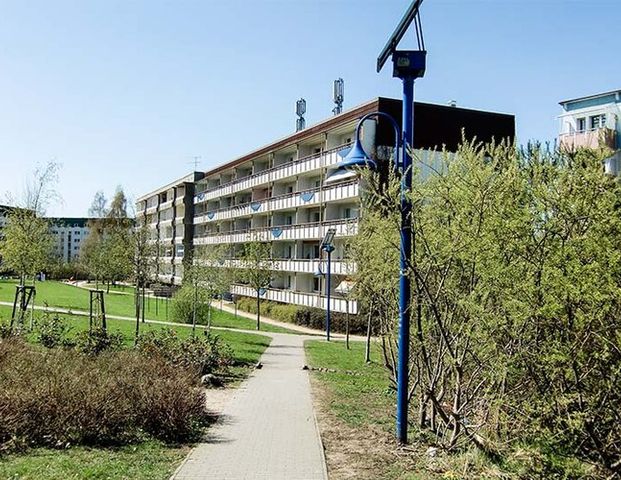 Platz für die ganze Familie! - Foto 1