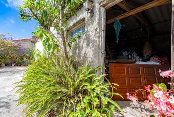 **¡Se Alquila Casa en Agulo, Las Rosas!** – 0067-04335