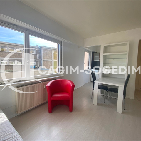 Location Appartement 1 pièce 20m² ST LOUIS 68300 - Photo 1