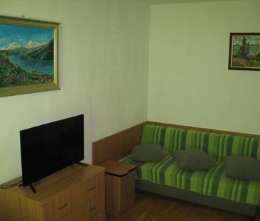 Tineretului, str. Viorele, proprietar - Photo 1