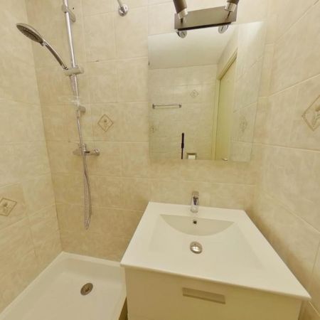 Location Appartement 1 pièce 11m² TOURS 37200 - Photo 4