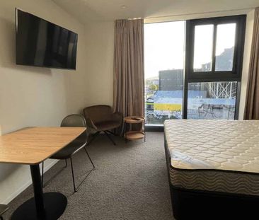 Sunny, Studio, Furnished - Photo 1