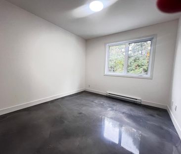 128 ch. De la Montagne Grande-Piles - Photo 4