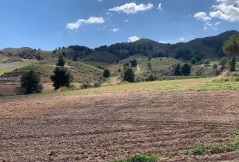 Alquiler de casa o chalet independiente en La Hoya-Almendricos-Purias
