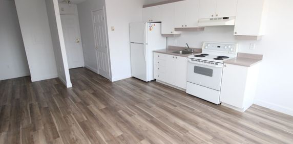 2 1/2-20, rue Saint-Jean, St-Jean-Baptiste à louer - Photo 2