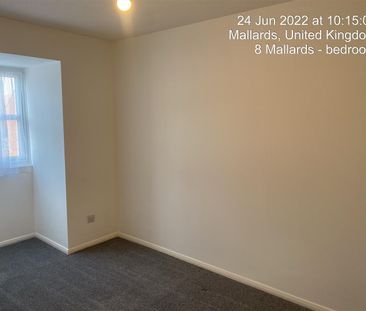 1 Bedroom Flat - Photo 4