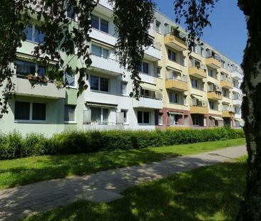 3 Zimmer im 4. Obergeschoss in Lankow - Foto 5