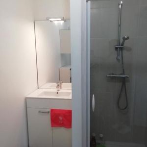 Location Appartement 1 pièce 29m² TOURS 37100 - Photo 2