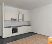UNBEFRISTETE ALTBAUWOHNUNG MIT GROSSTERRASSE IN DER FERNKORNGASSE - Foto 1