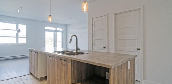 MAGNIFIQUE 4 1/2 - LIBRE 1er DÉCEMBRE - ASCENSEUR - Photo 2