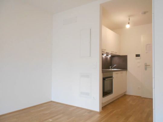 Q5 am PARK nette 2ZI mit Balkon, ruhige Innenhoflage - Foto 1