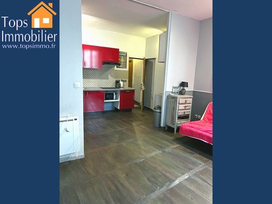 Location Appartement 1 pièce 27m² VILLEFRANCHE DE ROUERGUE 12200 - Photo 1