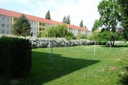 Kleine 3-Raum-Wohnung mit Loggia in ruhiger und grüner Lage in Dresden-Striesen - Photo 4