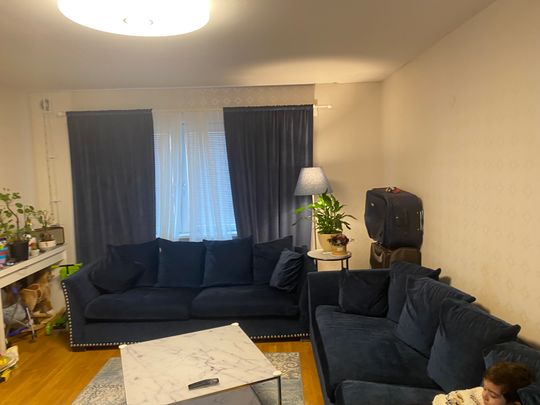 Bruno Liljeforsgatan, Uppsala - Photo 1