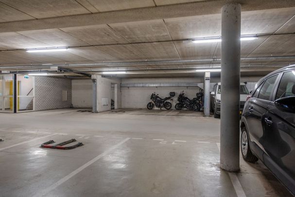 Palaceplein 97, Belgisch Park, 2587WG, Den Haag - Foto 1