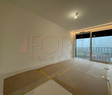 Superbe appartement neuf de 3 pièces en attique avec terrasse à Vessy - Foto 4