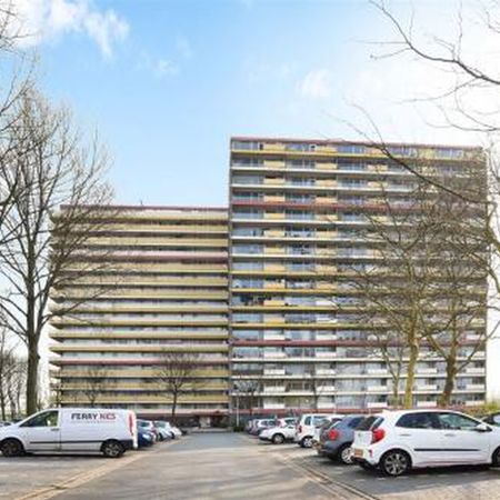 Oost Dorsch 1504 Zaandam - Foto 4