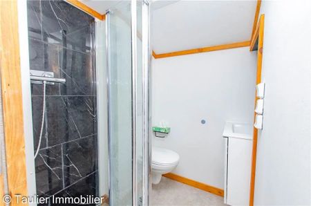 Location Appartement 1 pièce 28m² CHATTE 38160 - Photo 4