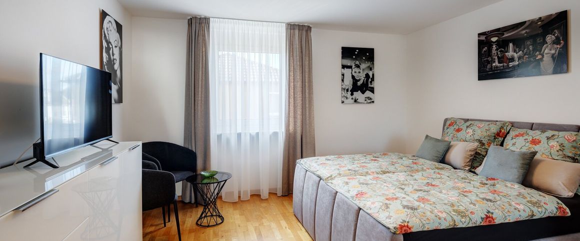 Large, furnished 1-room apartment for rent - Foto 1