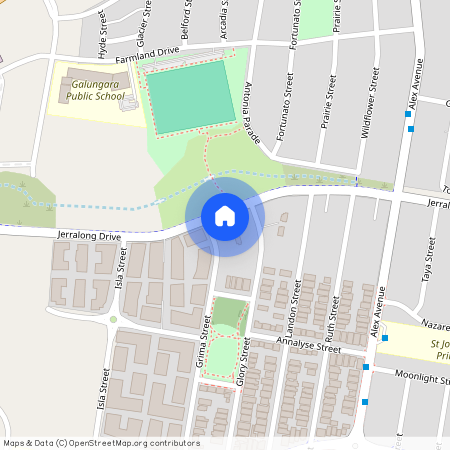 111 Jerralong Drive, NSW 2762, Schofields