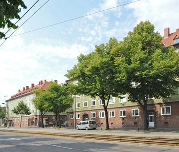 WG herzlich willkommen! - Foto 2