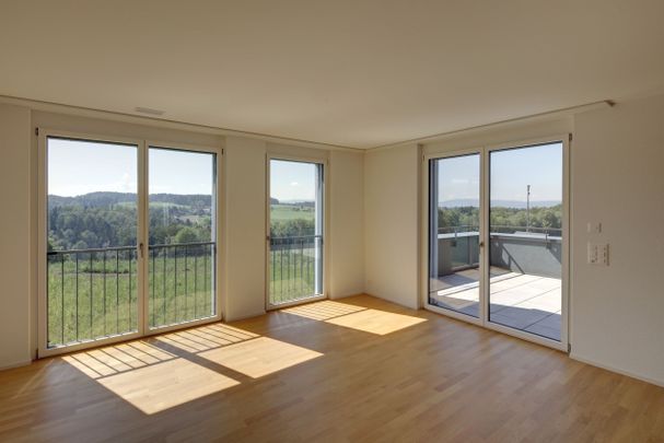 Modern and light-flooded apartment - Photo 1
