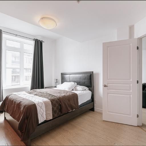 Appartement 3 ½ à louer Lévis septembre 2025 - Photo 1