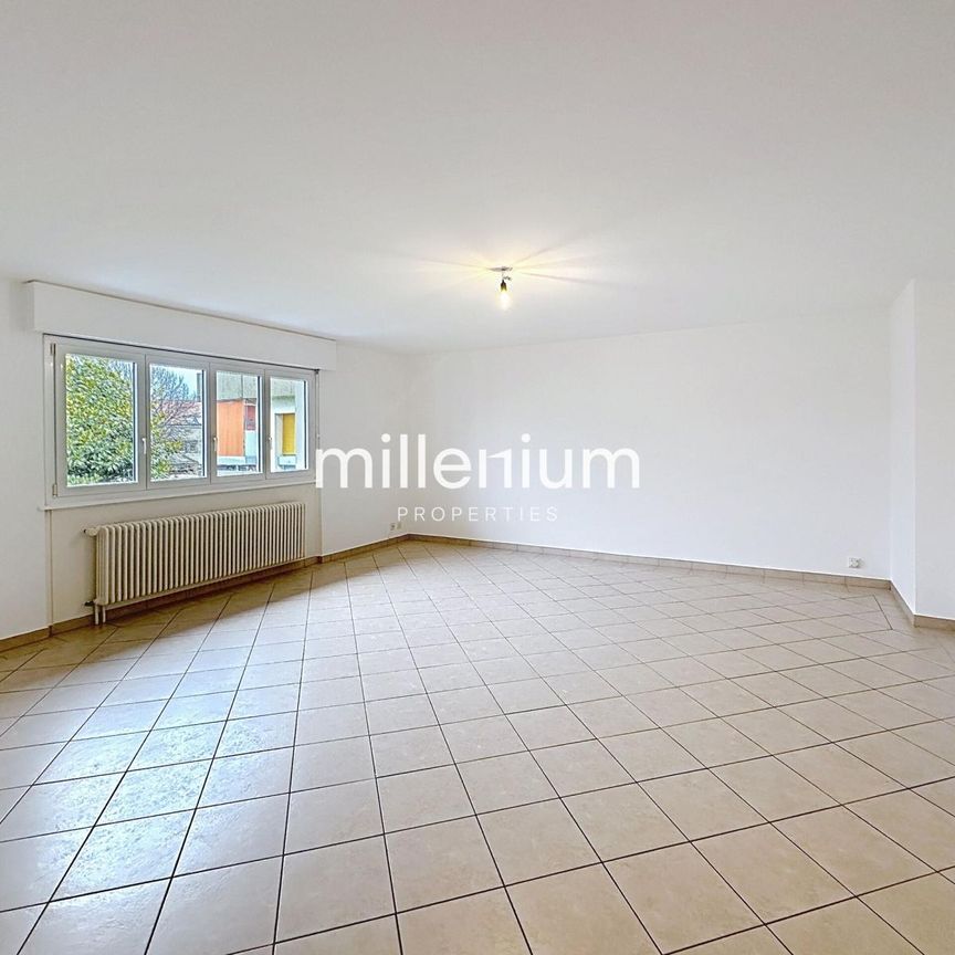 Duplex 5 pièces avec vue dégagée à Plan-les-Ouates - Photo 1