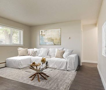 Renovated Suite - 1 Bedroom - Photo 4