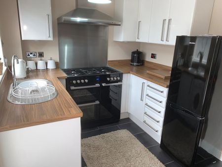 Swallowdale Drive, Leicester - Photo 4