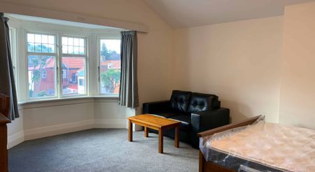 Ensuite room on Union Street, North Dunedin - Photo 2