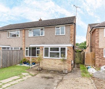 3 bedroom semi-detached house to rent - Photo 3