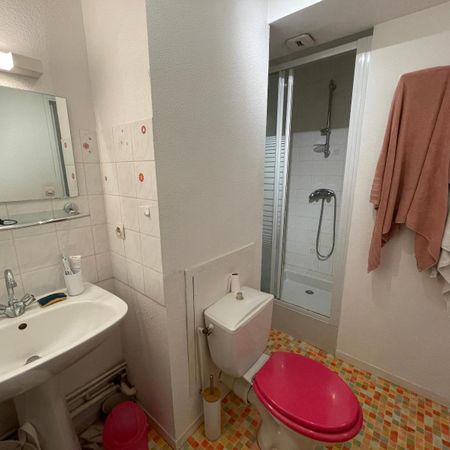 Location Appartement 1 pièce 20m² ANGERS 49000 - Photo 4