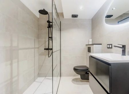 Tour & Taxis - 2-bedroom loft - Photo 3