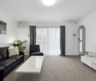 Freshly Updated 2-Bedroom Gem with Modern Comfort & Natural Light - Photo 2