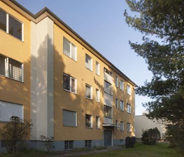 2-Zimmer-Wohnung mit gro&szlig;z&uuml;giger Terrasse sucht neue Mie... - Foto 4