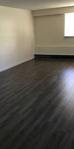 Huge 4 bedroom, 2 bathroom, 1st floor apt - Photo 3