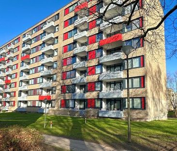 Umfassend sanierters Single Appartement - Photo 1