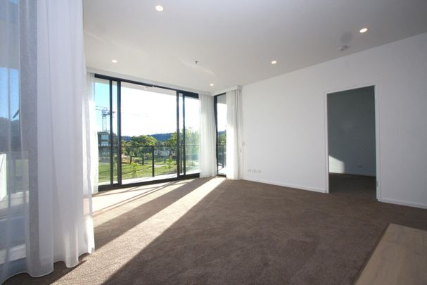 Two Bedroom Manuka Apartment - Renaissance - Photo 1